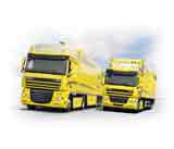 DAF XF105 y CF85 DAF XF105 y CF85