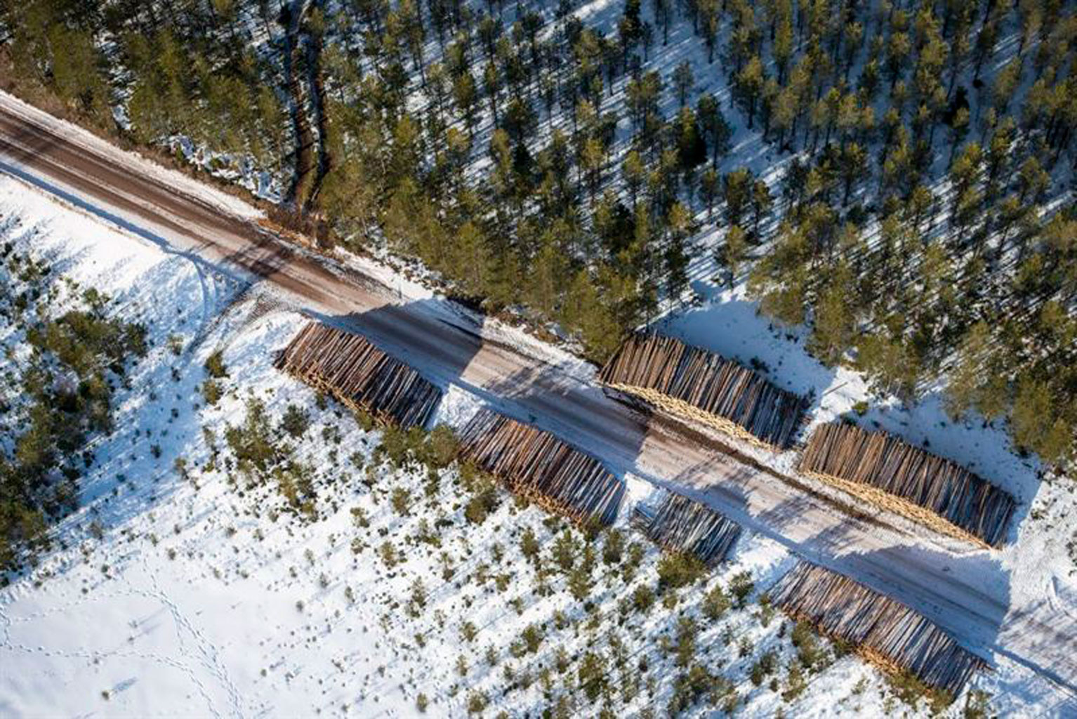 Scania aumenta las ventas de modelos de combustión sostenible