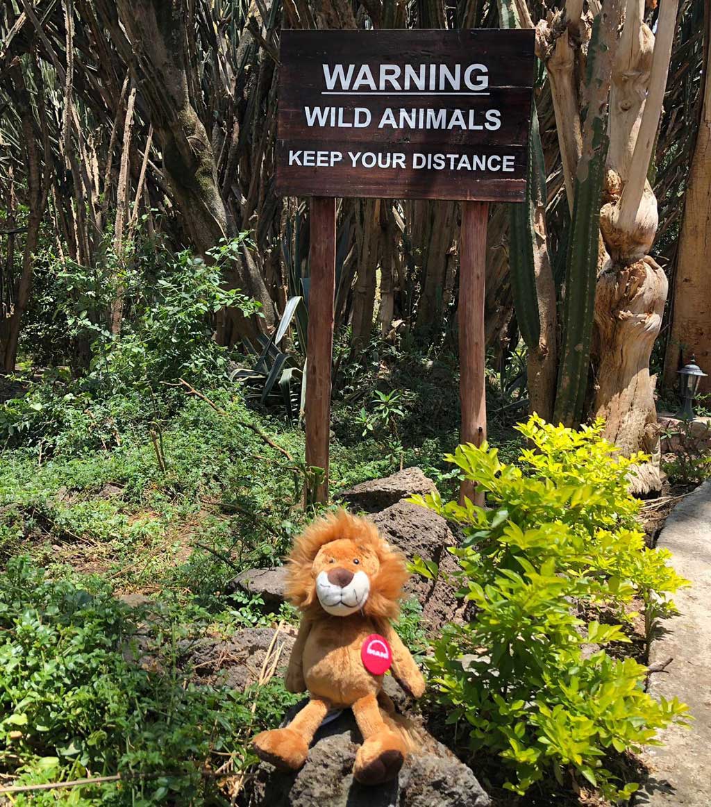 MAN Truck & Bus Iberia ya tiene Instagram