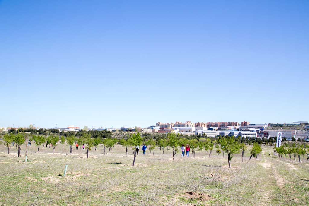 Más de 24.000 árboles en el Bosque Scania