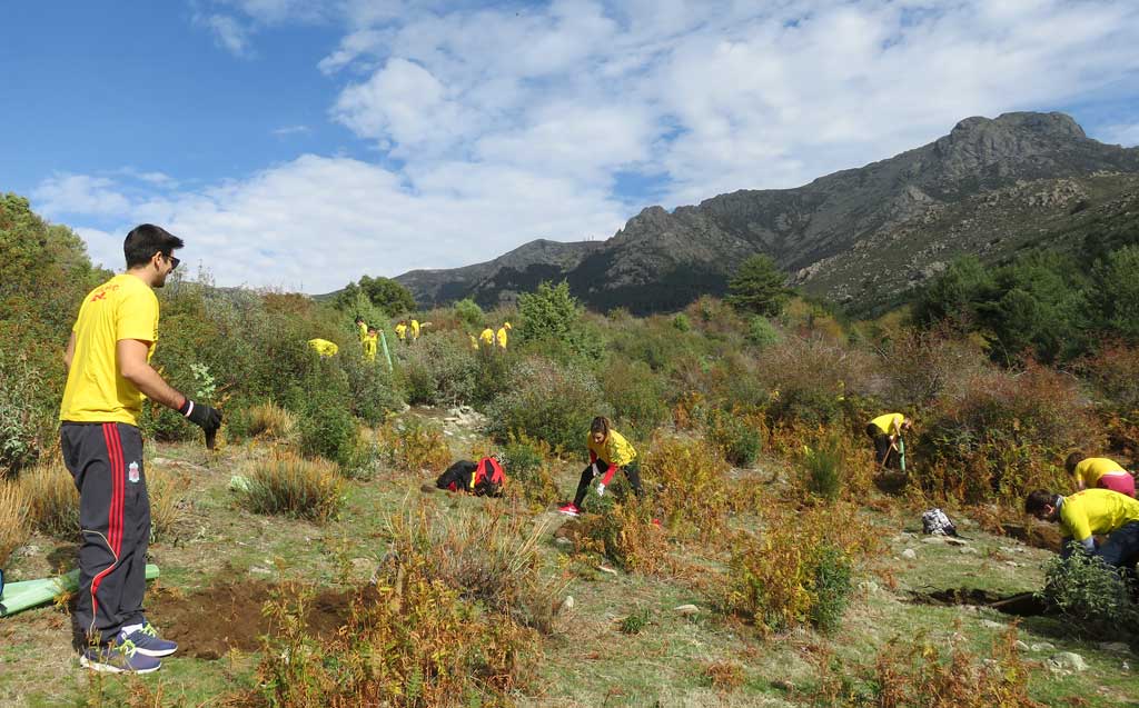 DHL planta 350 árboles en Madrid