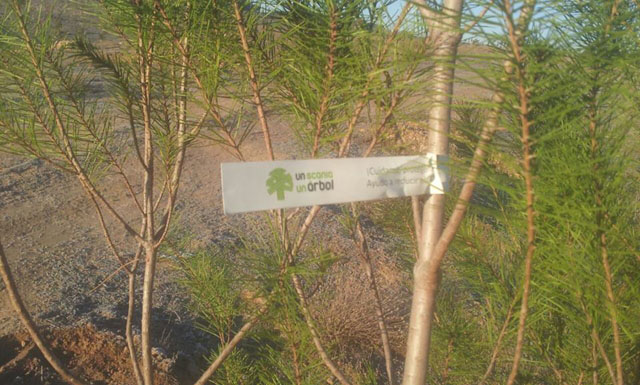 El Bosque Scania ya tiene 4.000 árboles