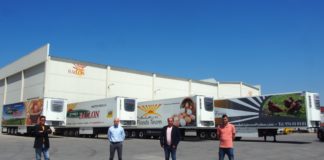Grupo Bailón vuelve a confiar en Schmitz Cargobull Grupo Bailón