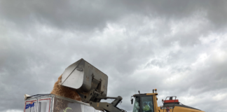 De Pedro Molinero adquiere 15 astilleras de Schmitz Cargobull De Pedro Molinero confía en Schmitz