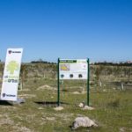 Scania recibe una medalla por su responsabilidad social corporativa Scania recibe una medalla por su RSC