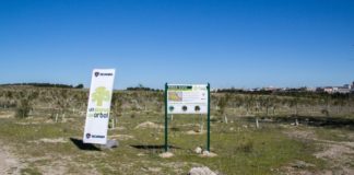 Scania recibe una medalla por su responsabilidad social corporativa Scania recibe una medalla por su RSC