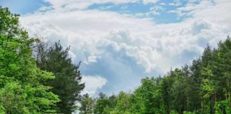 Perspectiva para la industria de camiones en 2022 Perspectiva para la industria en 2022