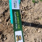 El Bosque Scania cumple 10 años El Bosque Scania cumple 10 años