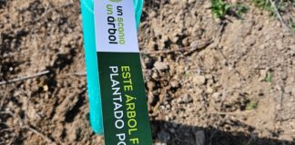 El Bosque Scania cumple 10 años El Bosque Scania cumple 10 años