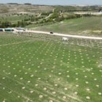 El Bosque Scania sigue creciendo