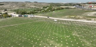 El Bosque Scania sigue creciendo