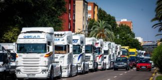 Valencia celebrará un gran San Cristóbal