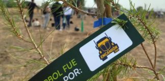 El Bosque Scania alcanza casi 43.000 árboles