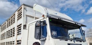 Scania 113 M y Julien dos treintañeros del transporte en plena forma Julien y su amado camión Scania 113 son de 1990 y trabajan a tope.