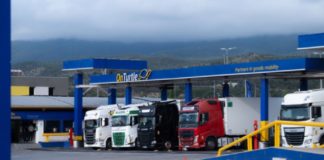 OnTurtle y TRAVIS aliados en la seguridad