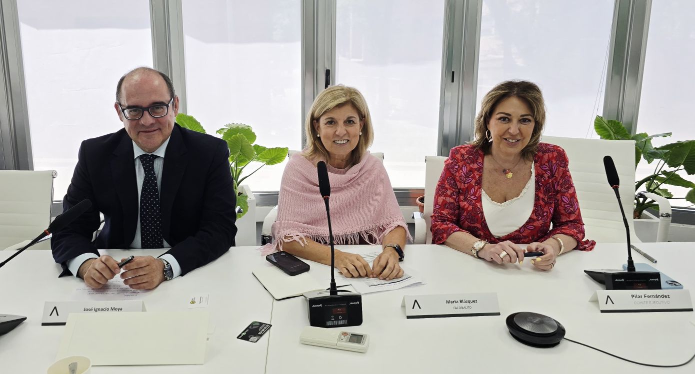 Faconauto Propone un Plan Nacional para Renovar Flotas y Reducir Emisiones Faconauto Propone un Plan Nacional para Renovar Flotas y Reducir Emisiones