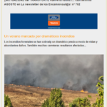 La ACTUALIDAD del TRANSPORTE en la newsletter de los encamionaut@s vuelve La newsletter de encamion nº 762.