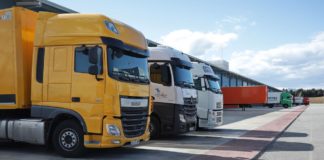 Transcalit–Sertralit: estudio de descarbonización