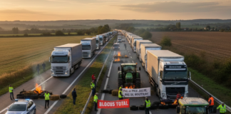 Alerta de Tráfico: Manifestaciones Agrícolas en Francia