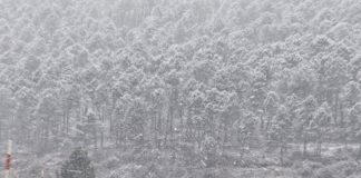 El caos de las restricciones a camiones