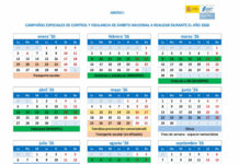 Campañas especiales de la DGT para 2026