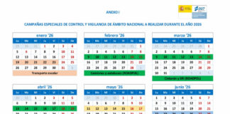 Campañas especiales de la DGT para 2026