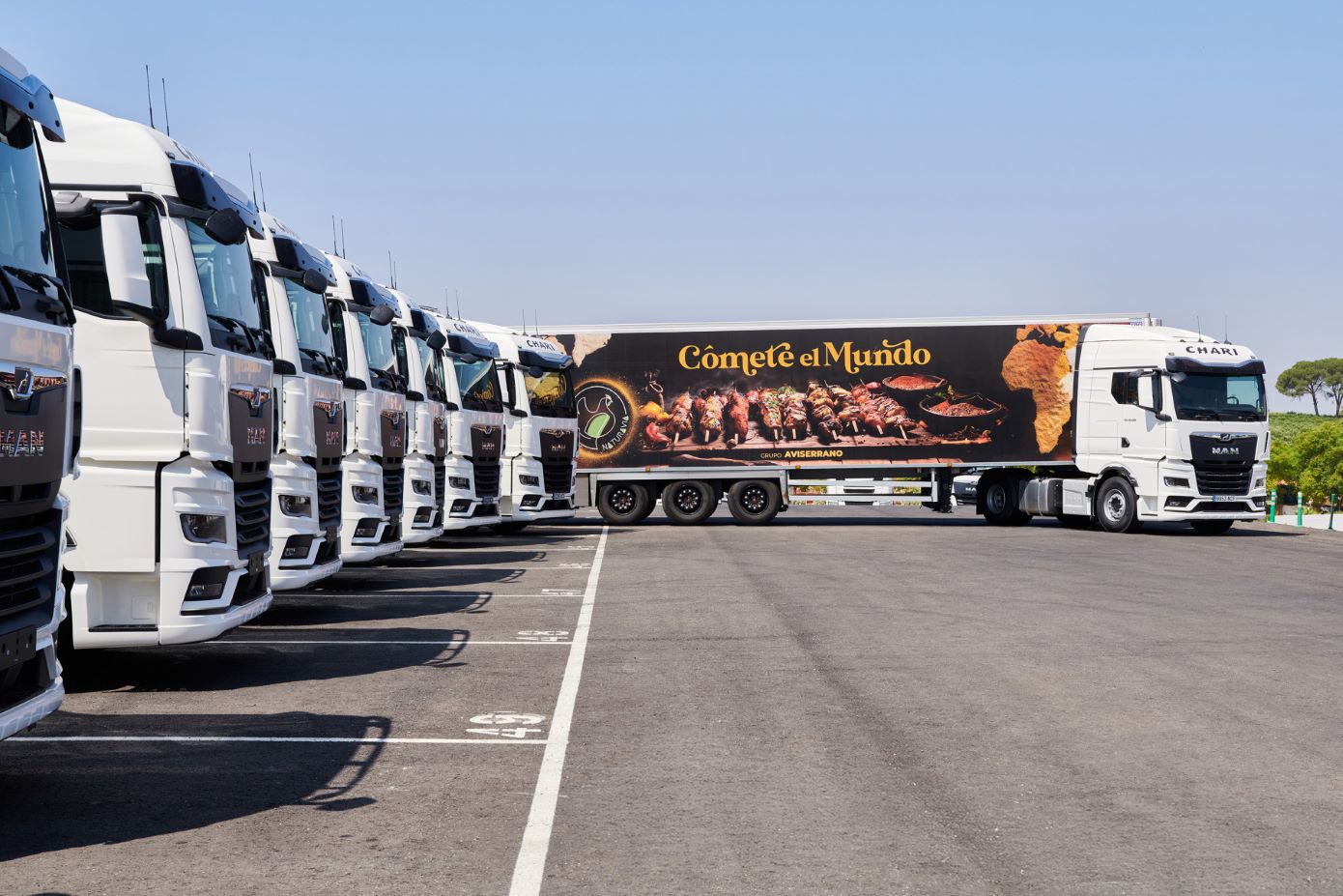 El MAN D30 PowerLion aprobado por Logialcor El MAN D30 PowerLion aprobado por Logialcor