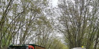 Camiones Clásicos CyL con sus Pegaso MAN y Barreiros, entre otros, ascienden a la Peña de Francia La asociación Clásicos Pesados de Castilla y León sacó a pasear sus camiones por la provincia de Salamanca.