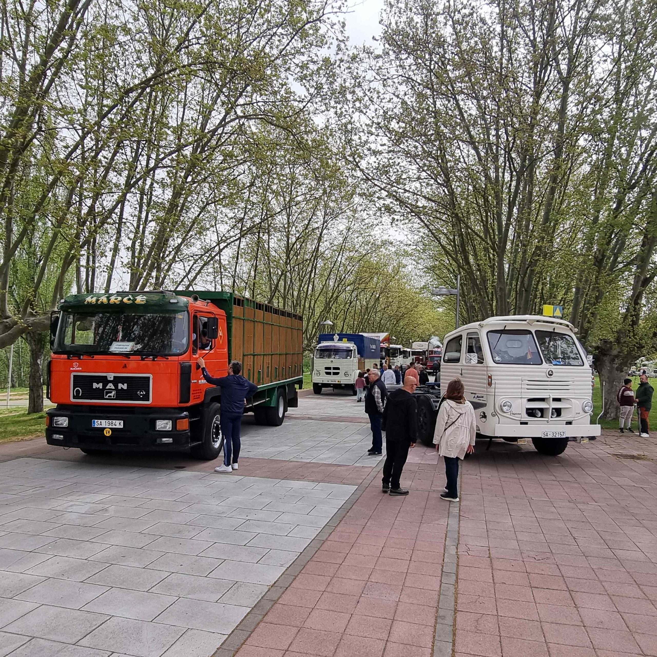 La asociación Clásicos Pesados de Castilla y León sacó a pasear sus camiones por la provincia de Salamanca.
