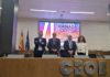 La nueva FP del transporte por carretera toma forma