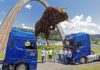 23 Ford Trucks F-Max para Red Bull