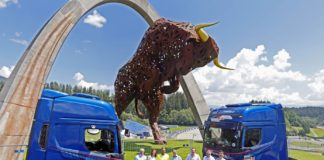 23 Ford Trucks F-Max para Red Bull